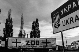 Десятки руководителей ИГИЛ убиты за попытку внутреннего переворота, - The Times - Цензор.НЕТ 8078