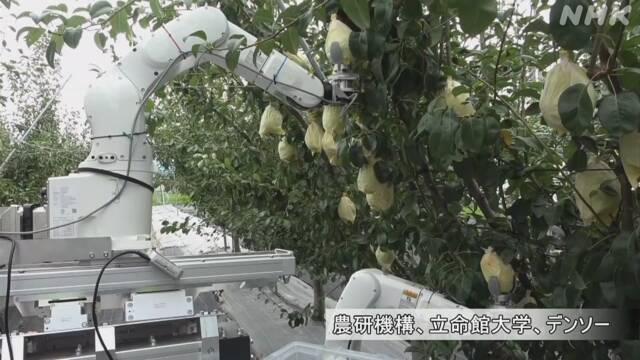 В Японии создали робота, собирающего урожай вместо человека. Видео