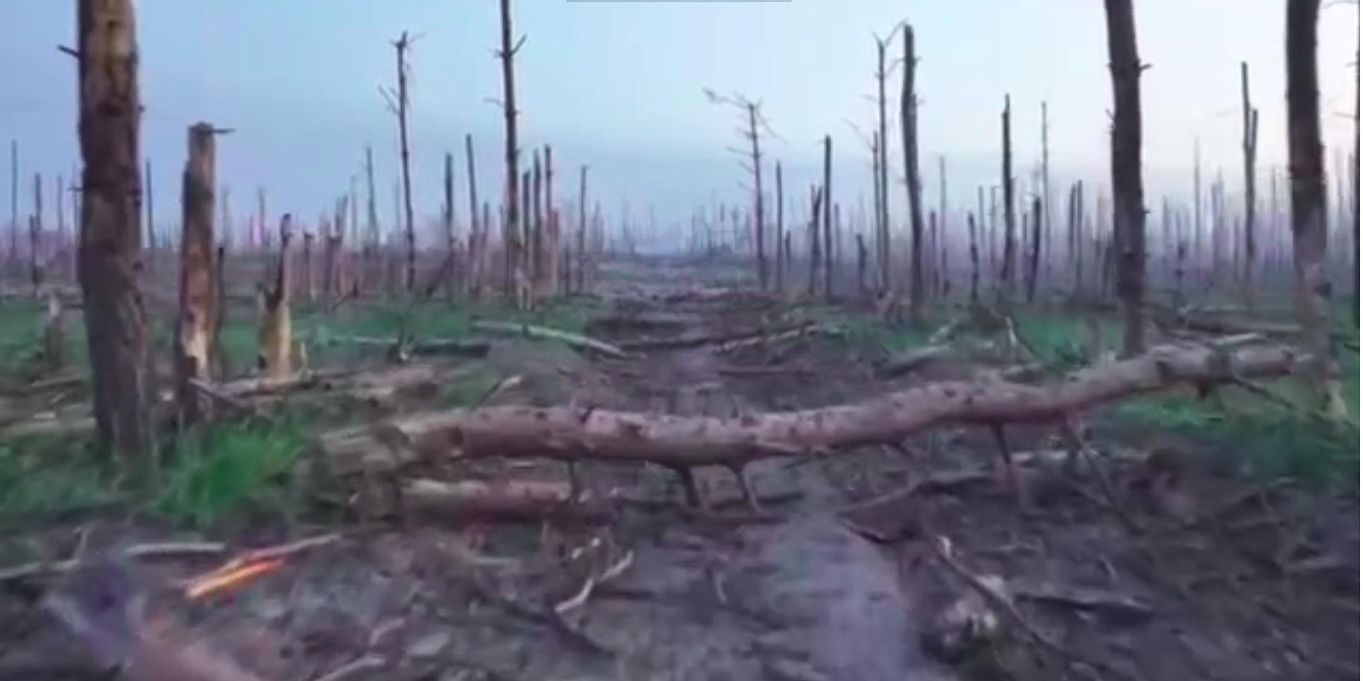 "Труп на трупе". ГУР перехватил разговор оккупантов о боях в Серебрянском лесу. Аудио