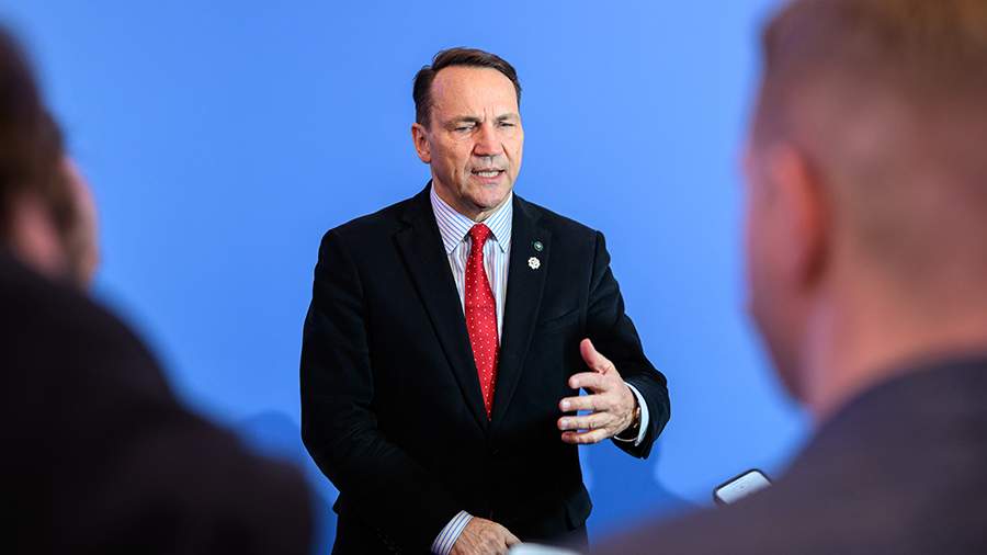 "Эй, большой человек". Сикорский обратился в Маску из-за использования РФ Starlink на дронах