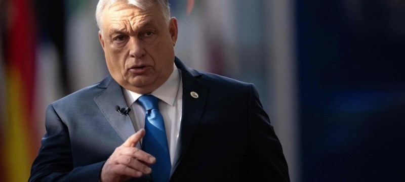 «Просили разрешения (!) у нищего мадьяра потратить их же деньги…»