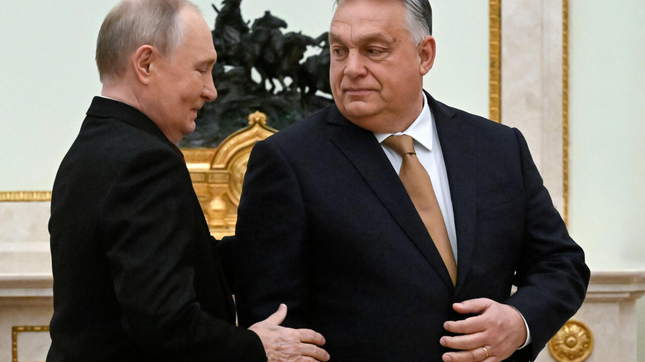 Орбан заявил о готовности стать для Путина «мышью», которая помогает «льву» — Bloomberg