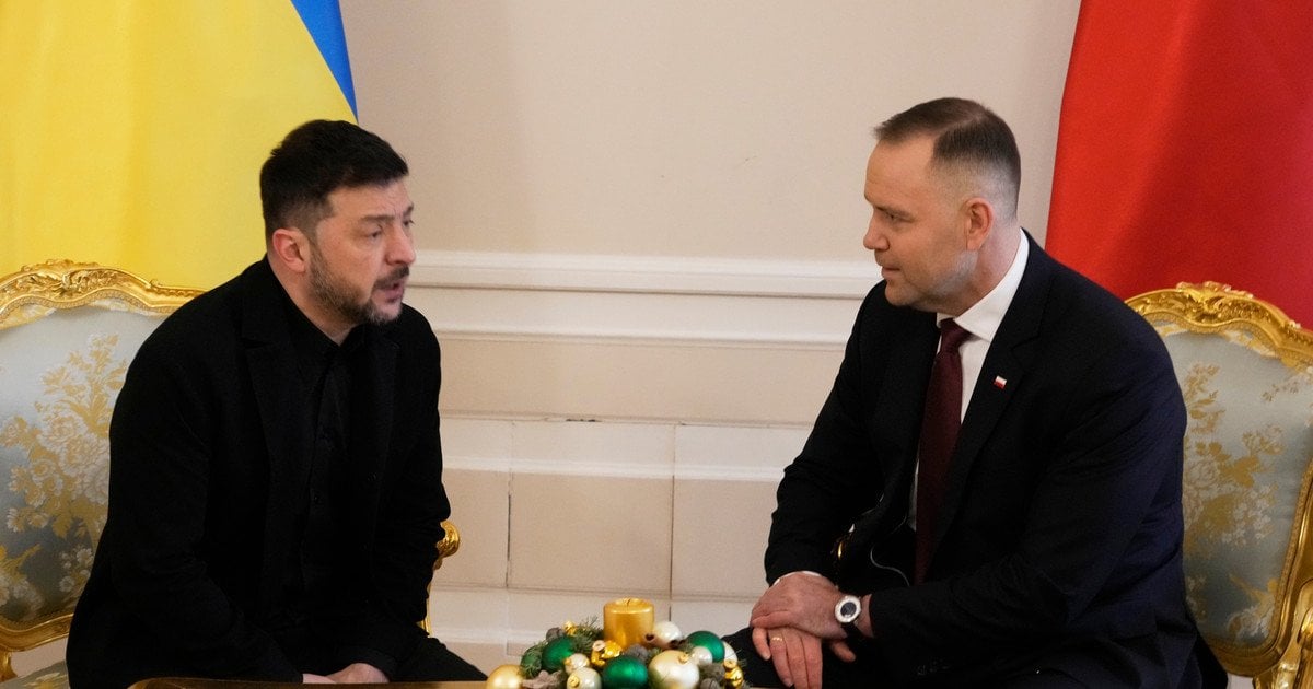 Навроцкий рассказал о «вежливом» разговоре с Зеленским в Анкаре